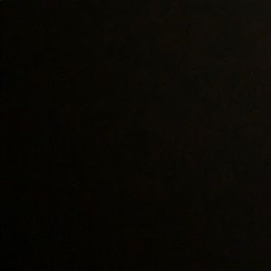 Meet your Posher, Terrell